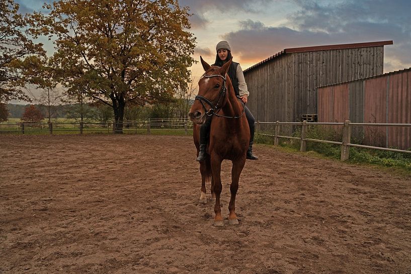Training with the bay Oldenburg mare on a riding arena by Babetts Bildergalerie