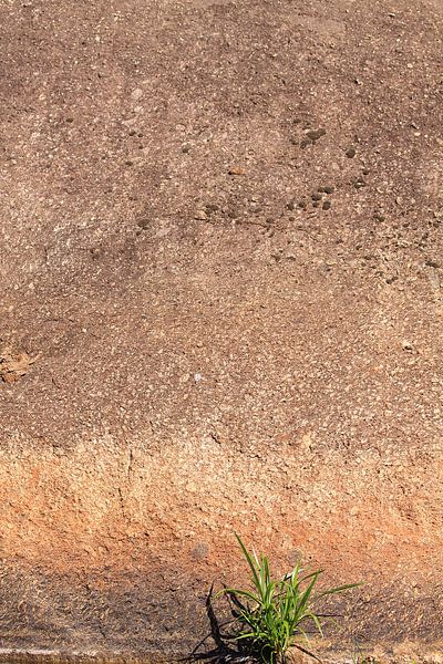 Grass and rock by Bobsphotography