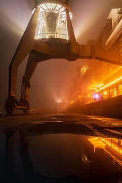 Crane in Hamburg harbour by Nils Steiner