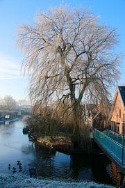 Winterlandschaft  von Cora Unk