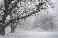 Winterstimmung auf der Dönche
