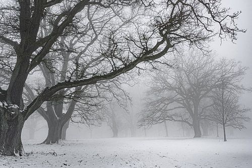 Winterse sfeer op de Dönche