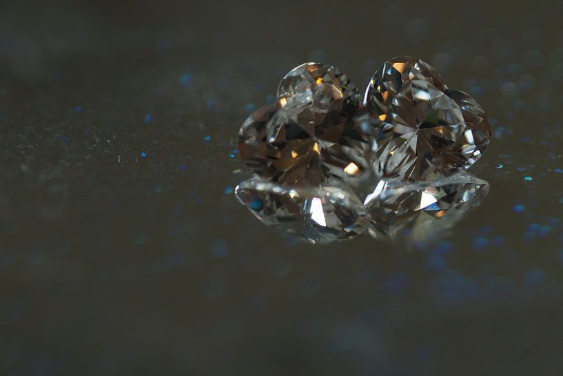 twee diamanten hartjes by arjan doornbos
