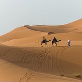 Sahara
