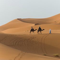 Sahara