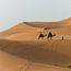 Sahara