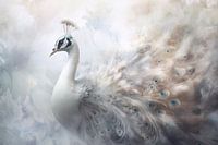 Weißer Pfau