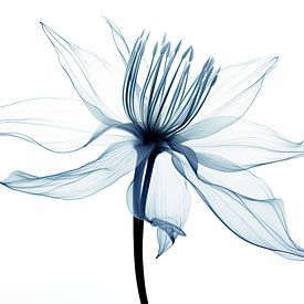Transparente Blumen von Bert Nijholt