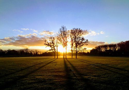 Zonsopgang in het park