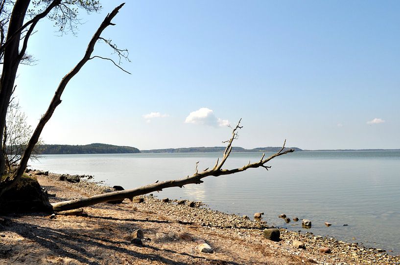 Naturstrand, Lagune in Lietzow, Großer Jasmunder Bodden, Rügen von GH Foto & Artdesign