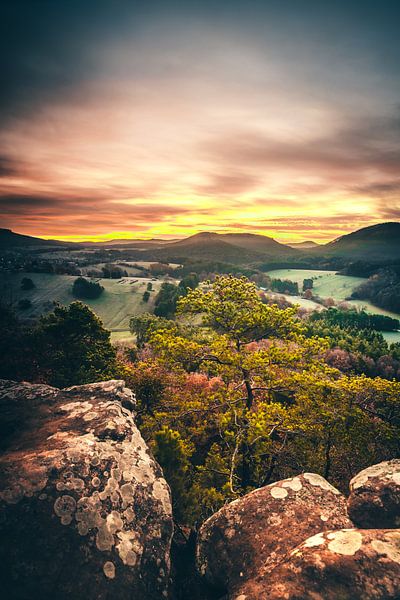 View into nature at sunrise by Fotos by Jan Wehnert