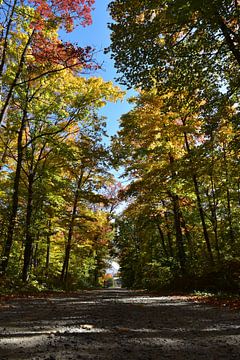A country road in autumn by Claude Laprise