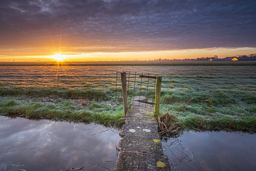 Alphen aan den Rijn - Polderzicht - Sonnenaufgang von Frank Smit Fotografie