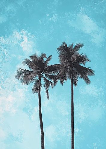 Palms