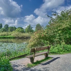 Rustgebied in het natuurreservaat Urdenbacher Kämpe, Düsseldorf-Urdenbach van Peter Eckert