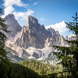 Montagnes et arbres dans les Dolomites en Italie sur Sem Wijnhoven