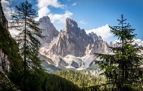 Mountains and trees in the Dolomites in Italy by Sem Wijnhoven