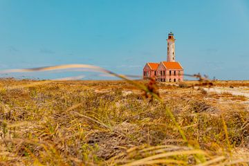 Pink lighthouse on Klein Curacao by Laura V