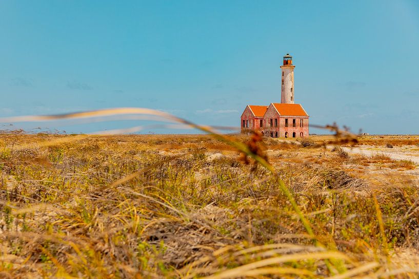 Pink lighthouse on Klein Curacao by Laura V