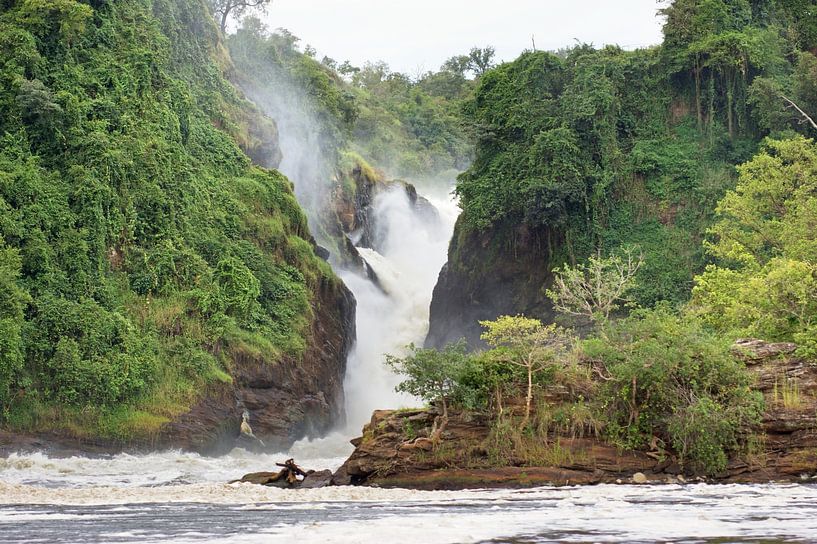 De Murchison watervallen in Uganda van Achim Prill