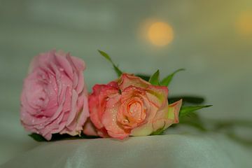 Betoverende rozen van Margit Kluthke