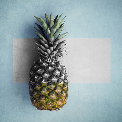 Ananas kleur en deels zwart wit