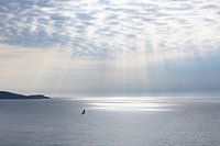 Sonnenharfe mit Möwe