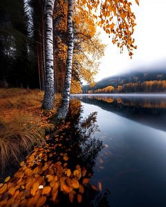 Ruhe der Natur