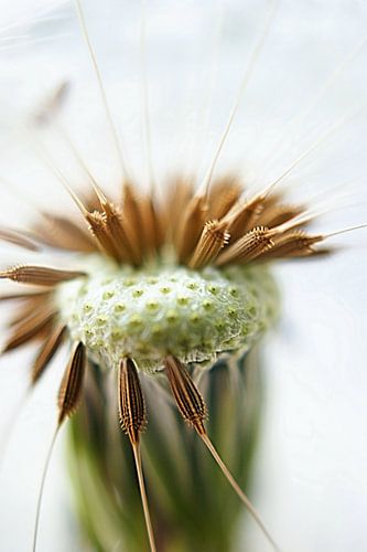 Those Of Us Left Behind