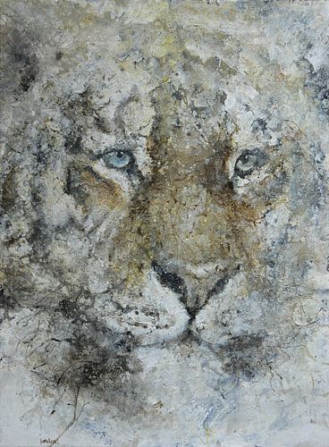 Tiger by Peter van Loenhout