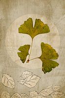 Ginkgo. Japandi. Wabi-Sabi. Basic