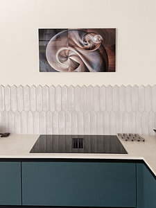 Nautilus Muschel - Fibonacci-Folge