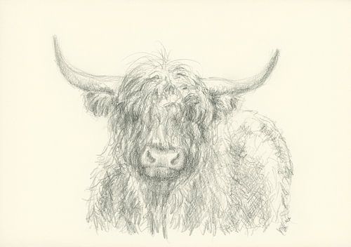 Portret potloodtekening hooglanders