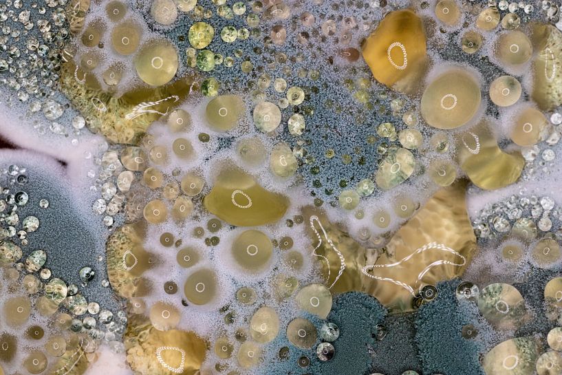 Mold Art 1 by Albert Mendelewski