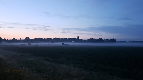 Ochtend mist