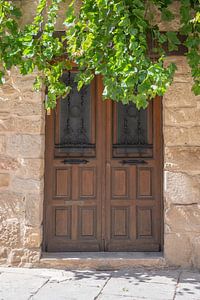La porte avec le raisin à Olite Espagne - photographie de rue, nature et voyage