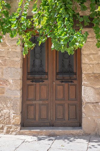La porte avec le raisin à Olite Espagne - photographie de rue, nature et voyage