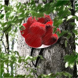 Bollen hat on tree ART 2.0 by Ingo Laue