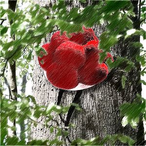 Bollenhut am Baum ART 2.0