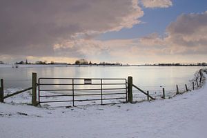 Winter in der Betuwe