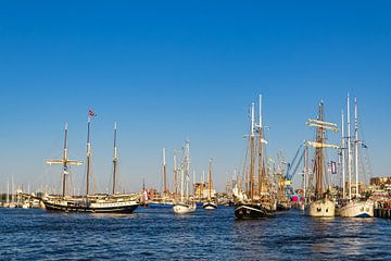 Segelschiffe auf der Warnow während der Hanse Sail in Rostock von Rico Ködder