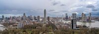 Een Rotterdams panorama van Pieter van Roijen thumbnail