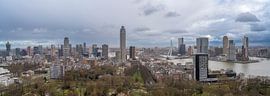 Panorama de Rotterdam sur Pieter van Roijen