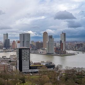 Een Rotterdams panorama van Pieter van Roijen