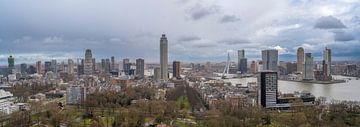 Een Rotterdams panorama