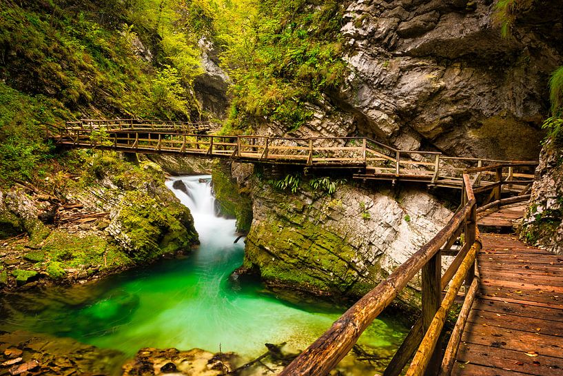 Vintgar Schlucht mit hölzernen Gehweg in Slowenien von iPics Photography