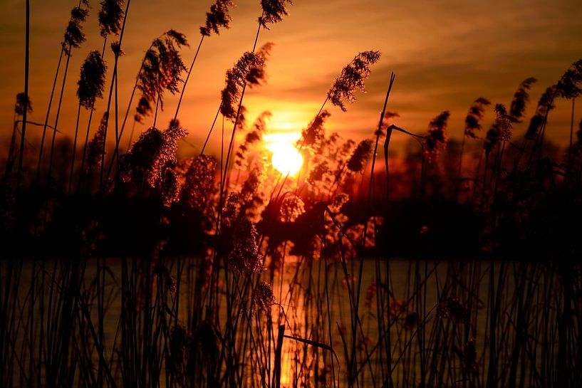 Abend am See von Thomas Jäger