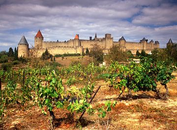 Cité de Carcassonne en wijngaarden 15 van Serge Sautereau