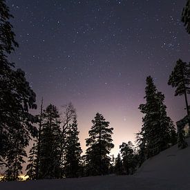 Stars between the Trees by Danny Leij