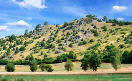 Das Naturschutzgebiet Trockenhänge bei Dollnstein von ManfredFotos